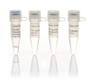 <i>Taq</i> DNA polymerase (recombinant)