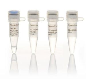 <i>Taq</i> DNA polymerase (recombinant)