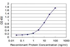 Anti-HTT Mouse Monoclonal Antibody [clone: 4G6]