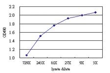 Anti-SPN Antibody Pair