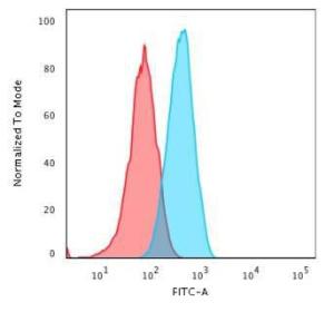 Anti-CD2 Mouse Monoclonal Antibody [clone: UMCD2]