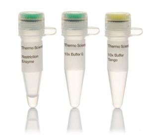 FERMER1011 - ENZYME BPII 200 UNITS