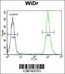 Anti-SLC16A11 Rabbit Polyclonal Antibody (AP (Alkaline Phosphatase))