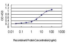 Anti-FGFR2 Mouse Monoclonal Antibody [clone: 3F4]