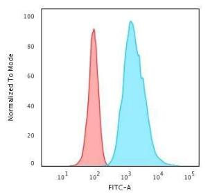 Anti-Cytokeratin 8 antibody