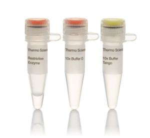 Restriction enzyme, NdeI, Fermentas