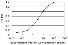 Anti-GAS7 Mouse Monoclonal Antibody [clone: 1H3]