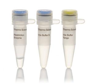 Restriction enzyme, Eco147I (StuI), Fermentas