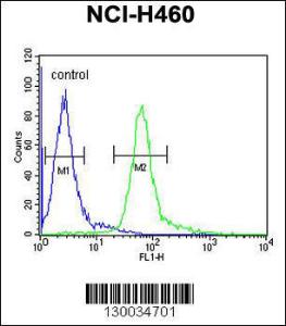 Anti-HIST1H1B Rabbit Polyclonal Antibody (APC (Allophycocyanin))