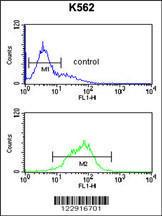 Anti-KIR2DL5B Rabbit Polyclonal Antibody (AP (Alkaline Phosphatase))