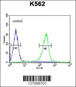 Anti-WDR49 Rabbit Polyclonal Antibody