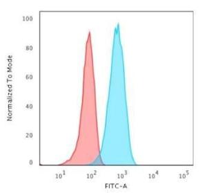 Flow cytometric analysis of Raji cells using Anti-CD19 Antibody [CVID3/429] followed by Goat Anti-Mouse IgG (CF&#174; 488) (Blue). Isotype Control (Red)