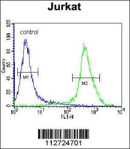 Anti-MOGT3 Rabbit Polyclonal Antibody (APC (Allophycocyanin))