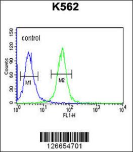 Anti-WDR73 Rabbit Polyclonal Antibody (HRP (Horseradish Peroxidase))