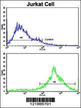 Anti-KLRC1 Rabbit Polyclonal Antibody (Biotin)