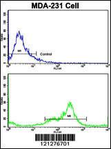 Anti-VCP Rabbit Polyclonal Antibody (AP (Alkaline Phosphatase))