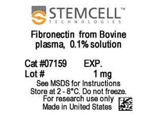 Fibronectin