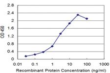 Anti-SLC6A20 Mouse Monoclonal Antibody [clone: 3G6]