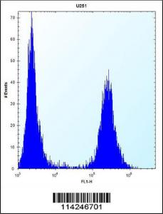 Anti-FLNA Rabbit polyclonal antibody