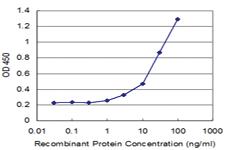 Anti-ATP5J Mouse Monoclonal Antibody [clone: 1F2]