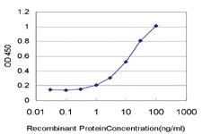 Anti-PLA2G1B Mouse Monoclonal Antibody [clone: 1B3]