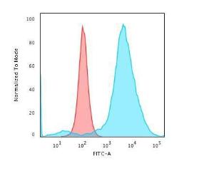 Flow cytometric analysis of PFA fixed HeLa cells using Anti-CD55 Antibody [143-30] followed by Goat Anti-Mouse IgG (CF and #174; 488) (Blue). Isotype Control (Red)