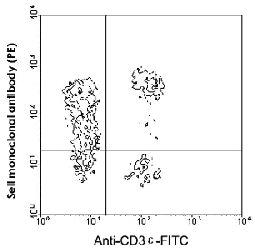 Anti-SELL Rat Monoclonal Antibody (APC (Allophycocyanin)) [clone: MEL-14]