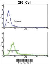 Anti-PLEKHO1 Rabbit Polyclonal Antibody