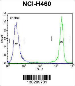 Anti-GDF15 Rabbit Polyclonal Antibody (HRP (Horseradish Peroxidase))