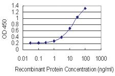 Anti-CARHSP1 Mouse Monoclonal Antibody [clone: 4G10]