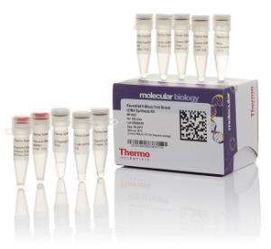 RevertAid™ H minus first strand cDNA synthesis kits