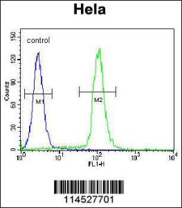 Anti-GDF6 Rabbit Polyclonal Antibody