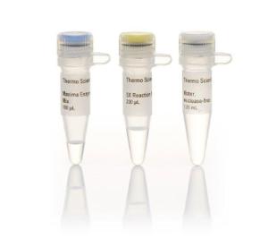 Maxima™ First Strand cDNA Synthesis kit