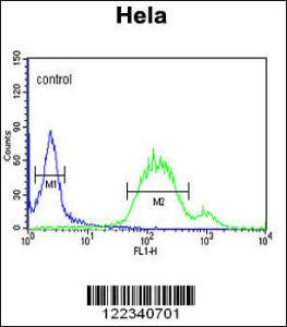 Anti-WNT5A Rabbit Polyclonal Antibody (FITC (Fluorescein Isothiocyanate))