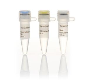 Maxima™ First Strand cDNA Synthesis kit