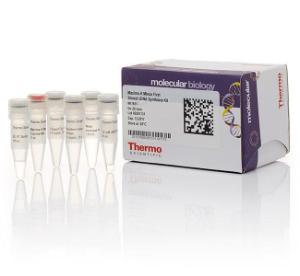 Maxima™ H minus first strand cDNA synthesis kits