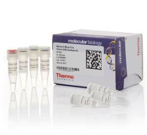 Maxima™ H minus first strand cDNA synthesis kits