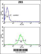 Anti-GNPAT Rabbit Polyclonal Antibody (AP (Alkaline Phosphatase))