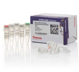 Maxima™ H minus first strand cDNA synthesis kits