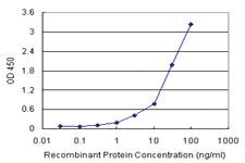 Anti-SPP1 Antibody Pair