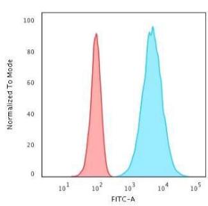 Flow cytometric analysis of HeLa cells using Anti-Cytokeratin 8 Antibody [K8.8] followed by Goat Anti-Mouse IgG (CF&#174; 488) (Blue). Isotype Control (Red).