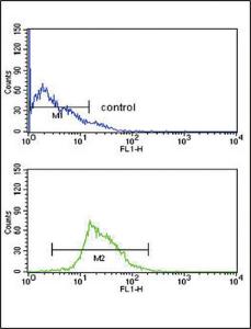 Anti-Kynurenine 3-Monooxygenase Rabbit Polyclonal Antibody (PE (Phycoerythrin))