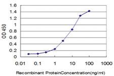 Anti-FGR Mouse Monoclonal Antibody [clone: 3G10]