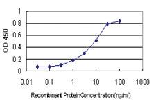 Anti-PLAU Mouse Monoclonal Antibody [clone: 3B8]