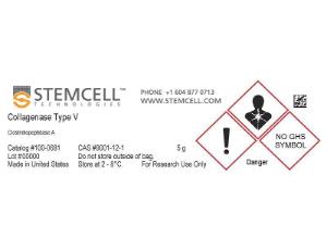 Collagenase Type V
