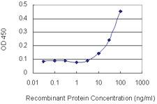 Anti-PLCB2 Mouse Monoclonal Antibody [clone: 1B3]