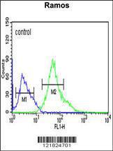 Anti-XBP1 Rabbit Polyclonal Antibody (HRP (Horseradish Peroxidase))