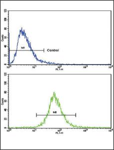 Anti-AOC3 Rabbit Polyclonal Antibody (PE (Phycoerythrin))