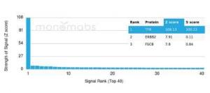 Analysis of protein array containing more than 19,000 full-length human proteins using Anti-Tyrosinase Antibody [TYR/3826] Z-Score and S- Score