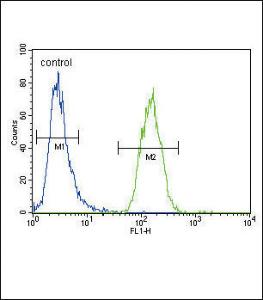 Anti-XDH Rabbit Polyclonal Antibody (FITC (Fluorescein Isothiocyanate))